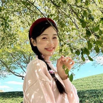 大厨小婿